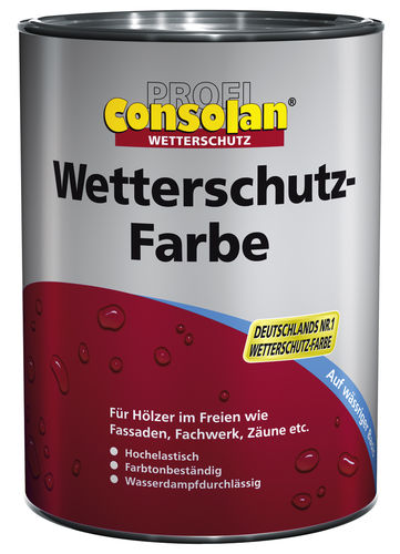 Consolan Wetterschutzfarbe Profi, 2,5 L, RAL Des. 060.40.05, 2,5 Liter (Umtausch ausgeschlossen)